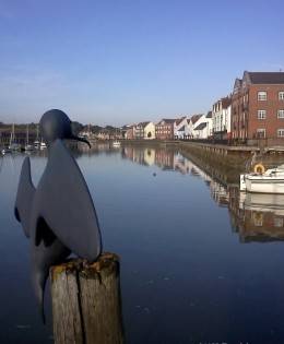 The Cormorant