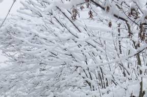 Snowing in Zell am See, Austria Snowing in Zell am See, Austria
