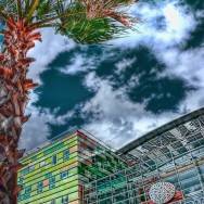 Perpignan TGV Station and palm tree